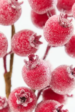 Decorator's Warehouse 21" Red Beaded Berry Spray > Cardinal|Christmas Sprays