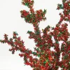 Decorator's Warehouse 29" Red & Green Glitter Berry Spray > Traditional|Christmas Sprays