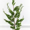 Decorator's Warehouse Red Rustic Sprays Mini Bundle > Tree Toppers|Sprays Mini Bundles