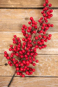 Decorator's Warehouse 39” Red Tall Berry Spray > Cardinal|Christmas Sprays
