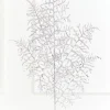Decorator's Warehouse 35" Silver Glitter Fern Spray > White Christmas|Christmas Sale