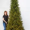 Decorator's Warehouse 10' Slim Southern Fir with 2000 3mm Lights > Green|Color Changing