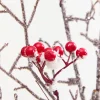 Decorator's Warehouse 32" Snow Berry Spray > Cardinal|Christmas Sprays
