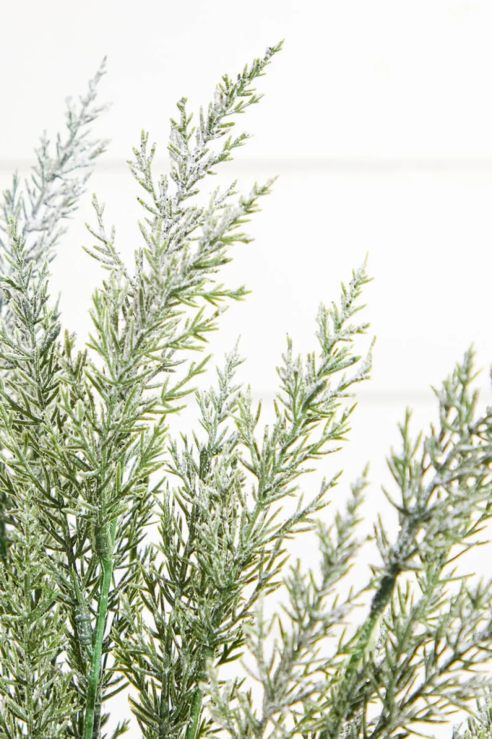 Decorator's Warehouse 18" Snow Cedar Pine Bush > Natural Greenery|Christmas Decor