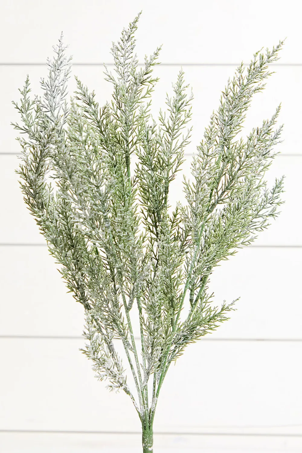 Decorator's Warehouse 18" Snow Cedar Pine Bush > Natural Greenery|Christmas Decor