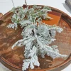 Decorator's Warehouse 24” Snow Cedar Spray > Winter Woodland|Christmas Sprays