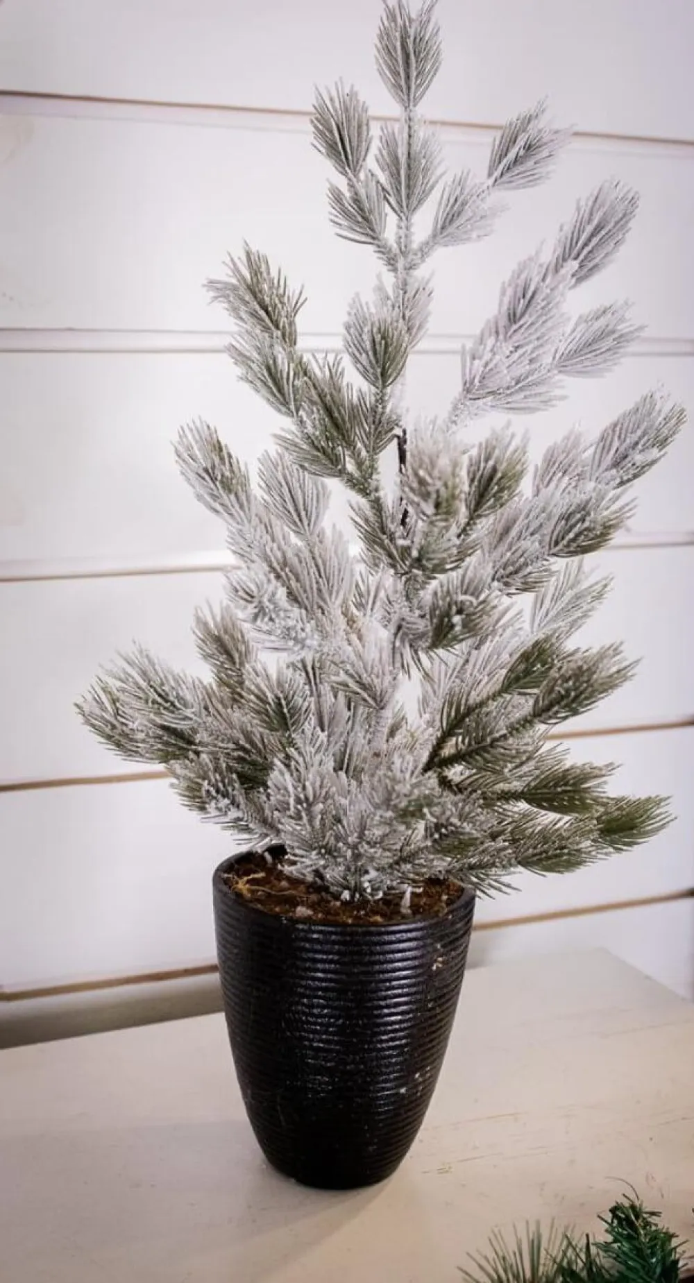 Decorator's Warehouse 24" Snow Tree in Black Container > Cardinal|Christmas Accents
