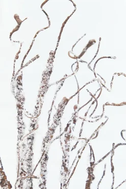 Decorator's Warehouse 36" Snow Twig Branch > Winter Woodland|2026 New Additions