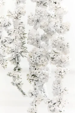 Decorator's Warehouse 25" Snowy Hanging Berry Branch > Christmas Sprays|Christmas Decor