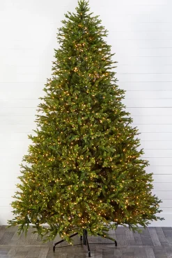 Decorator's Warehouse 10' Southern Fir with 3000 3mm Lights > Green|Color Changing