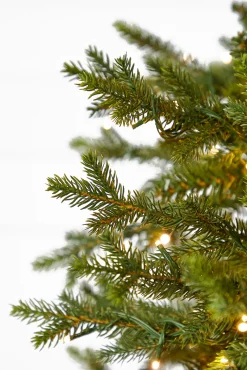 Decorator's Warehouse 10' Southern Fir with 3000 3mm Lights > Green|Color Changing