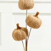 Decorator's Warehouse 25” Tan Triple Natural Weave Autumn Pumpkin Spray > Fall Decor|Fall Decor