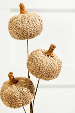 Decorator's Warehouse 25” Tan Triple Natural Weave Autumn Pumpkin Spray > Fall Decor|Fall Decor