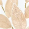 Decorator's Warehouse 28" Taupe Iced Leaves Spray > Sugar & Spice|Christmas Sprays