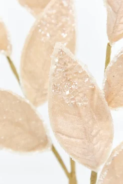 Decorator's Warehouse 28" Taupe Iced Leaves Spray > Sugar & Spice|Christmas Sprays