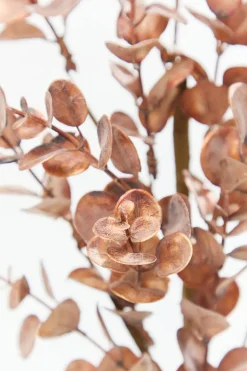 Decorator's Warehouse 24" Warm Copper Eucalyptus Spray > Christmas Sprays|Christmas Decor