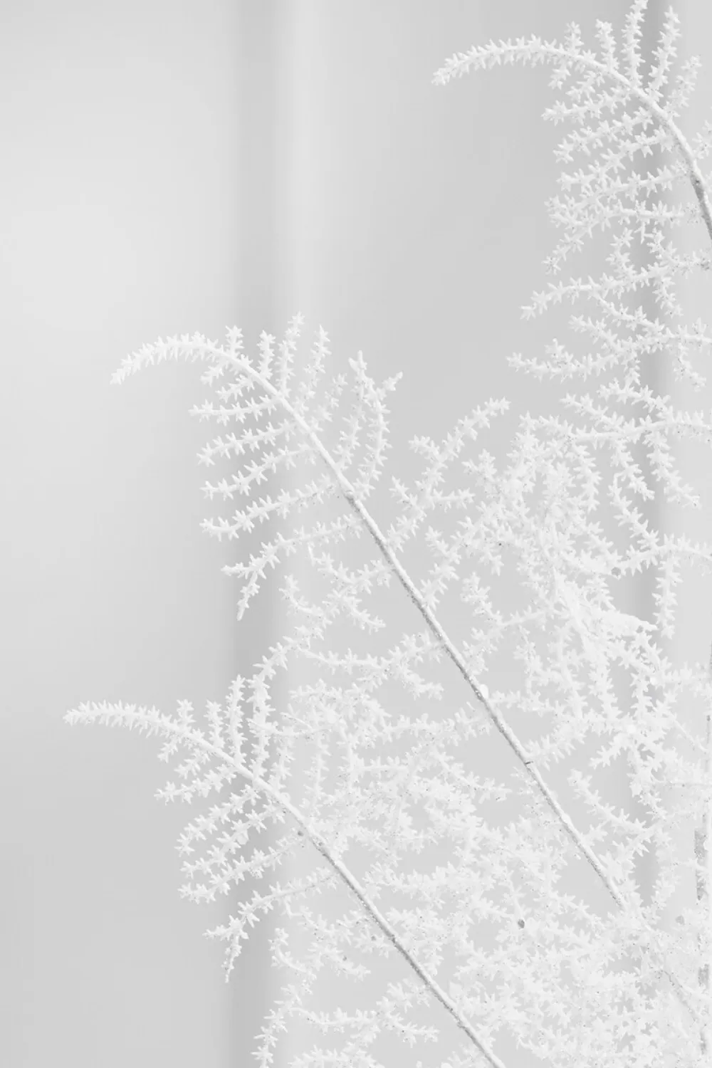 Decorator's Warehouse 35" White Glitter Fern Spray > White Christmas|Christmas Sale