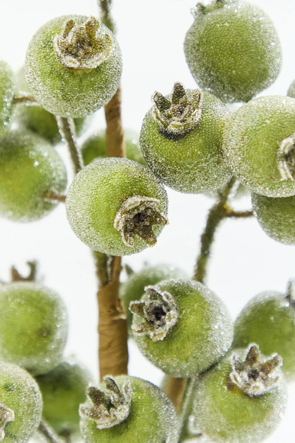 Decorator's Warehouse 21" Winter Apple Green Beaded Berry Spray > Christmas Sprays|Christmas Decor