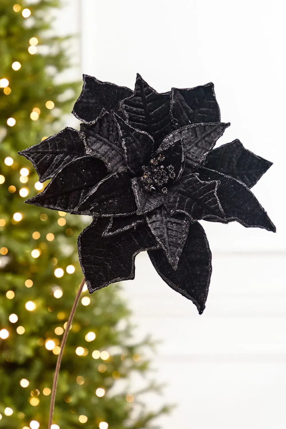 Decorator's Warehouse 19" x 14" Black Velvet Poinsettia Stem > Nutcracker|2026 New Additions