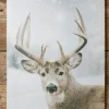 Decorator's Warehouse 16 x 24” Buck Deer In Snowy Field Print > Christmas Sale|Christmas Decor