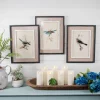 Decorator's Warehouse 15" x 20" Framed Bird Print with Glass > Christmas Decor|Spring Decor