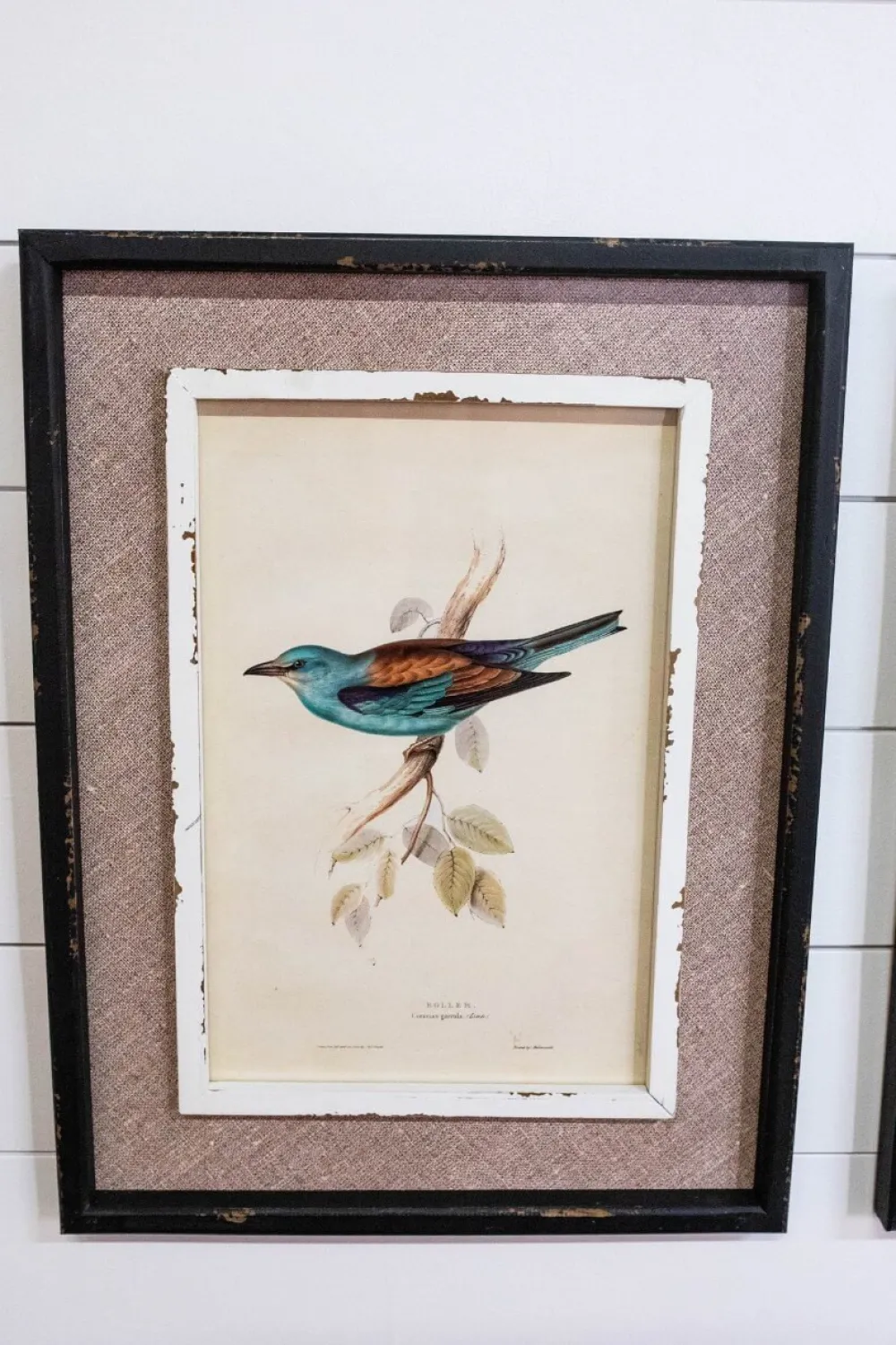 Decorator's Warehouse 15" x 20" Framed Bird Print with Glass > Christmas Decor|Spring Decor