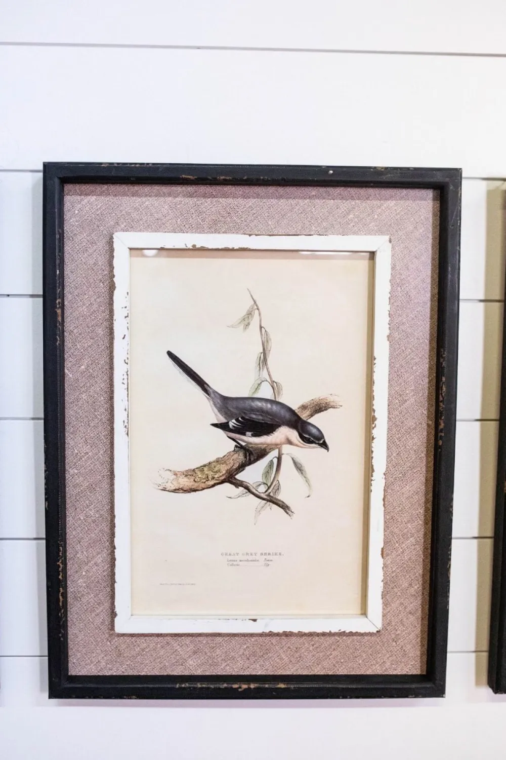 Decorator's Warehouse 15" x 20" Framed Bird Print with Glass > Christmas Decor|Spring Decor