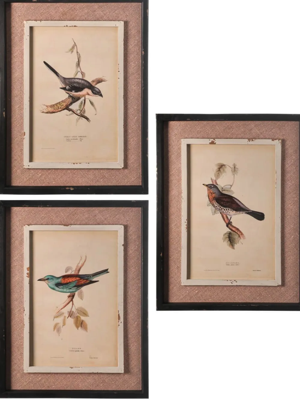 Decorator's Warehouse 15" x 20" Framed Bird Print with Glass > Christmas Decor|Spring Decor