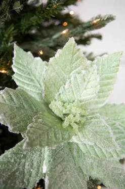 Decorator's Warehouse 20” x 14" Mint Sugared Poinsettia Stem > Best Sellers|Santa'S Sweet Shoppe