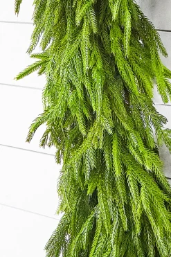 Decorator's Warehouse 60" x 16" Real Touch Deluxe Norfolk Pine Garland > Believe|Natural Greenery