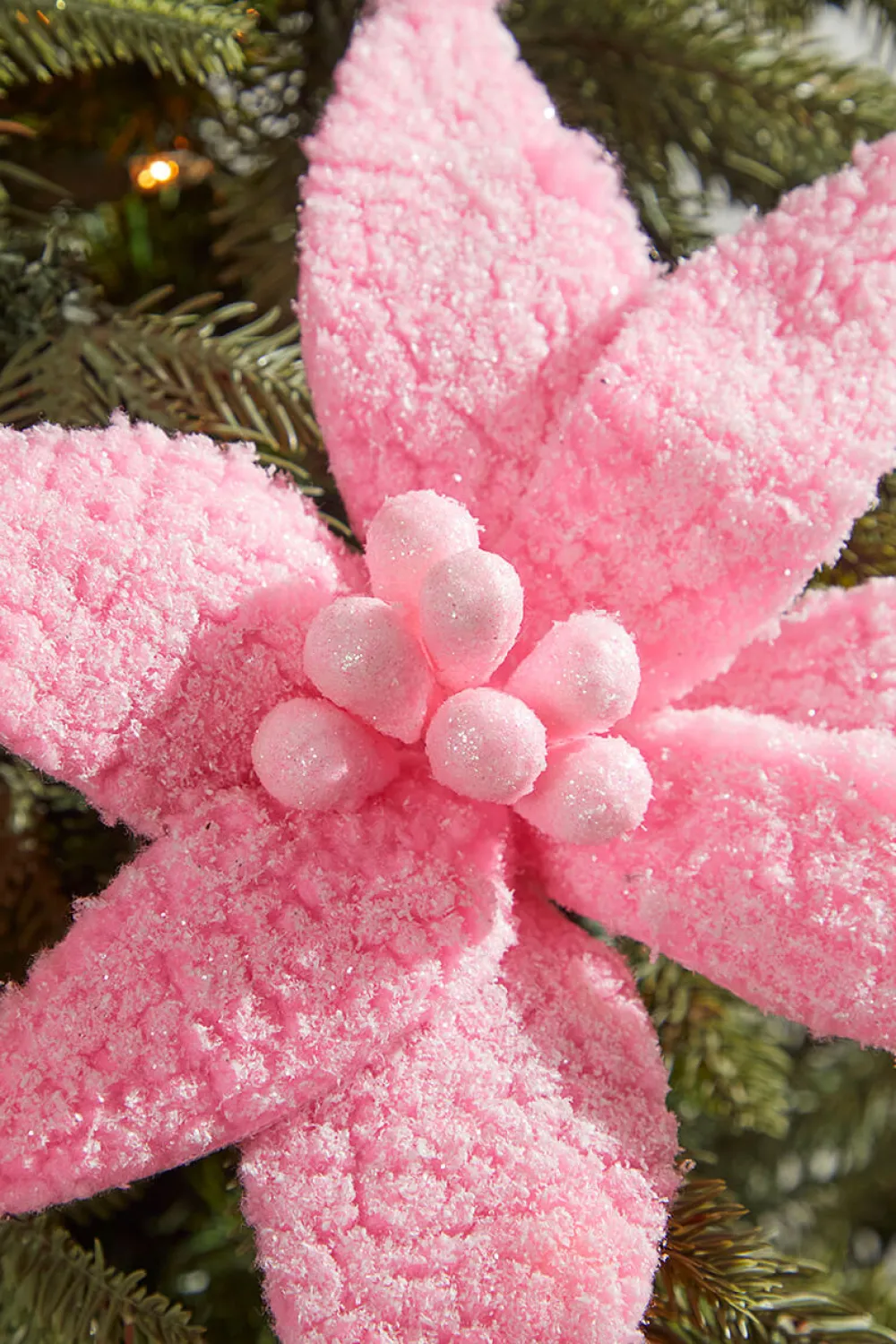 Decorator's Warehouse 20” x 12" Sugared Cotton Candy Poinsettia Stem > Christmas Decor|Valentine'S Decor