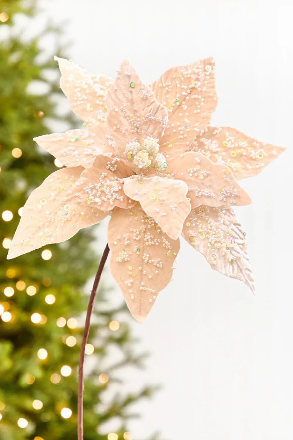 Decorator's Warehouse 19" x 13.5" Taupe Poinsettia Stem > Sugar & Spice|Christmas Decor