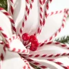 Decorator's Warehouse 19" x 12" White and Red Poinsettia Stem > Christmas Decor|Believe