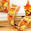 Decorator's Warehouse 2.5" x 10 Yard Pumpkin & Gourd Ribbon > Fall Decor|Fall Decor